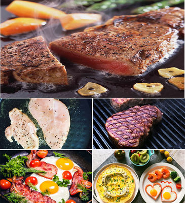 13kg elektrischer Panini Grill Handels Panini Sandwich Press Edelstahl Einzelkontakt Grill
