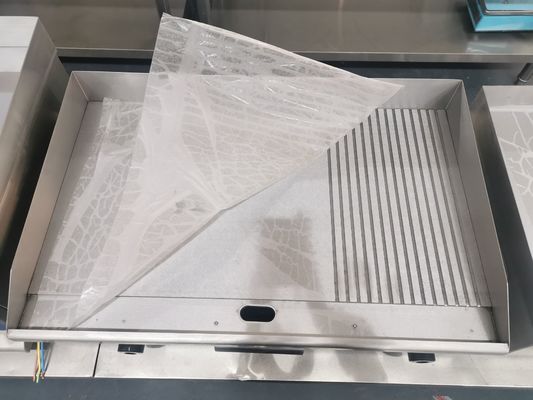 Elektrische Grillmaschine mit Edelstahlkonstruktion und Temperaturregelung